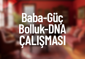 BABA - GÜÇ - BOLLUK - DNA ÇALIŞMASI
