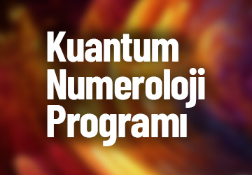 HER ŞEY MATEMATİKTİR (Yüzyüze)