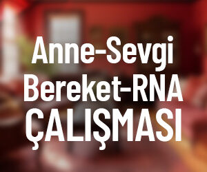 Anne - Sevgi - Bereket – Rna Çalışması