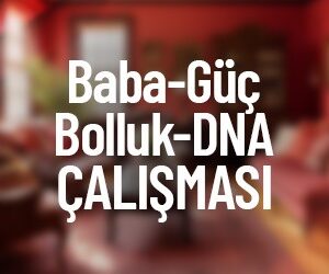 Baba - Güç - Bolluk - Dna Çalışması