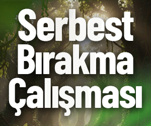 Serbest Bırakma Çalışması