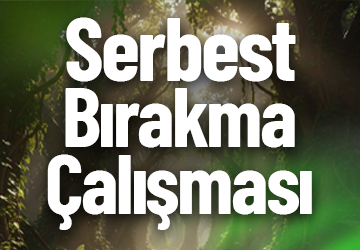 Serbest Bırakma Çalışması