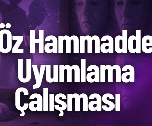 Öz Hammadde Uyumlama Çalışması
