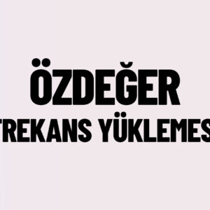 ÖZDEĞER FREKANS YÜKLEMESİ