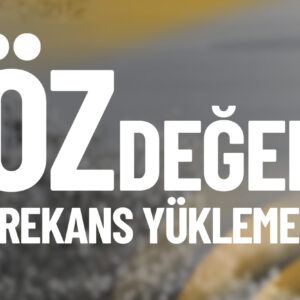 ÖZDEĞER FREKANS YÜKLEMESİ