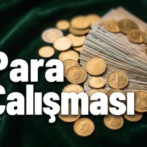 Para Çalışması